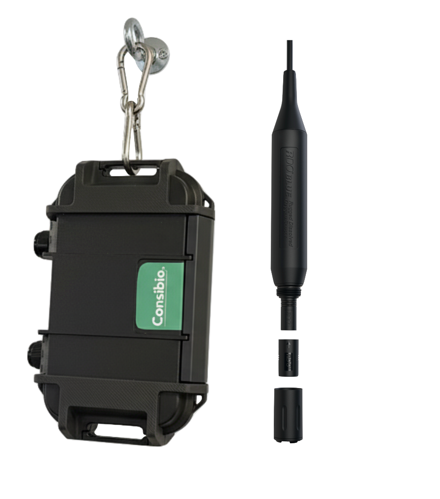 Dissolved oxygen sensor solution